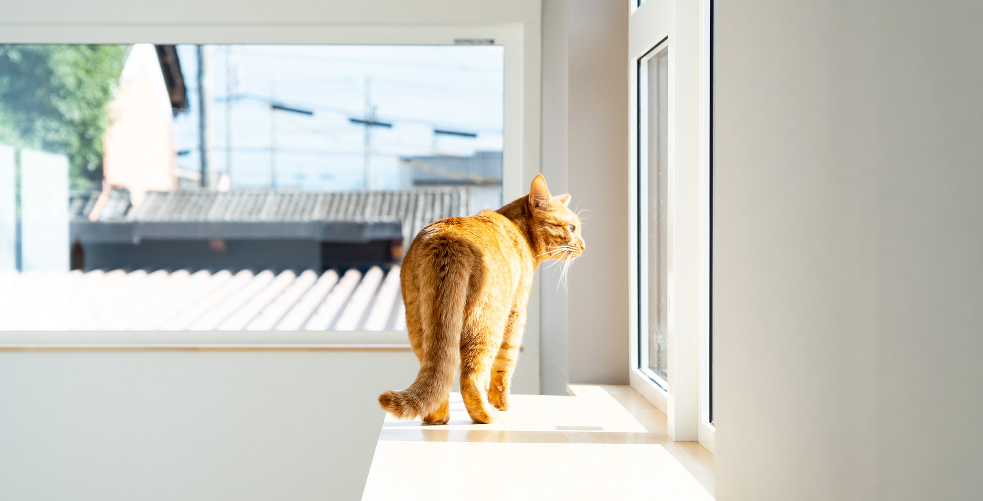 夢物語を、あなたのための物語へ。